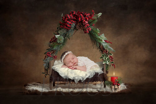 HARPER CHRISTMAS BED COMP