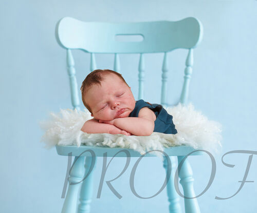 HARRY BLUE CHAIR COMP