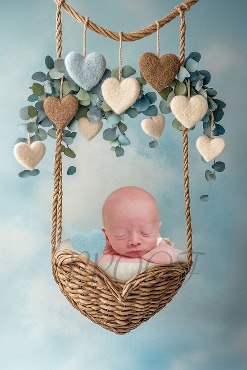 HEARTS ABOVE BASKET COMP