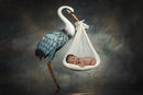 HENRY STORK COMP