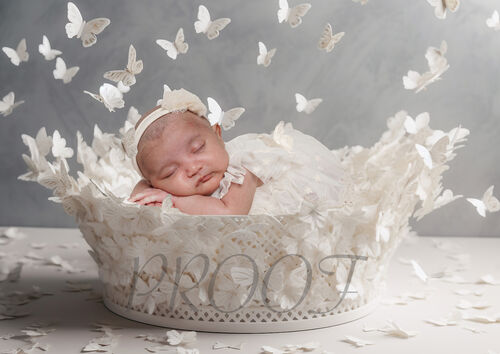 IVORY BUTTERFLIES BASKET COMP