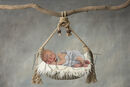 JAXON BRANCH SWING