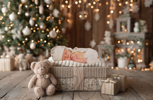 JUDE  BEIGE CHRISTMAS COMP