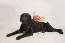 KOBE AND ALEX TWO