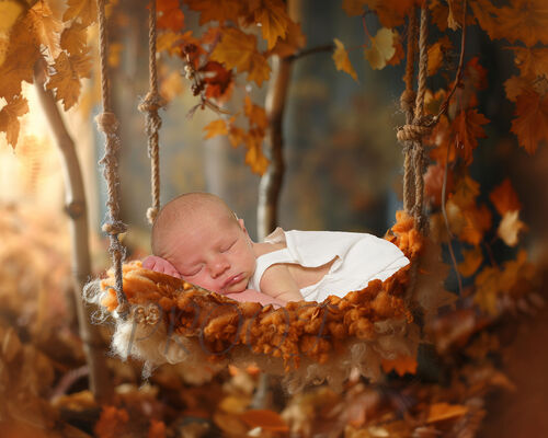 LEAVES AUTUMN SWING COMP