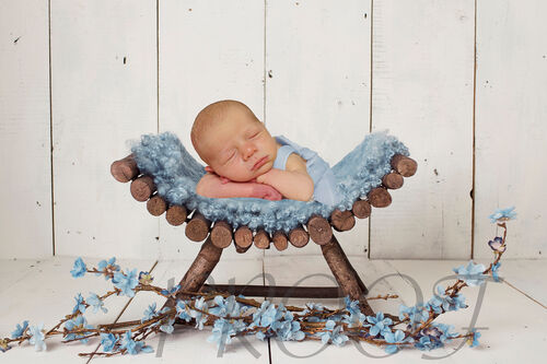 LOG BENCH BLUE VERS 2 COMP