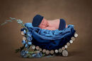 LOG CRIB BLUE COMP