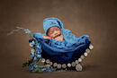LOG CRIB BLUE