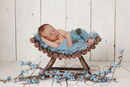Log Bench Blue Comp