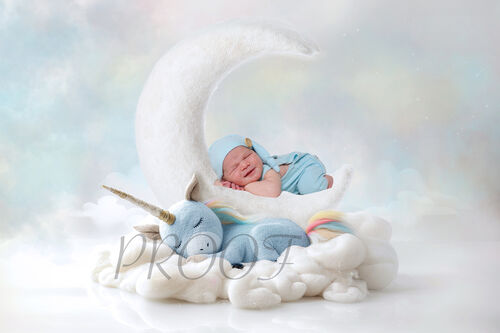 MOON AND UNICORN BLUE COMP