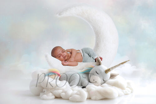 MOON AND UNICORN COMP