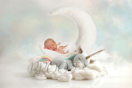 MOON AND UNICORN COMP