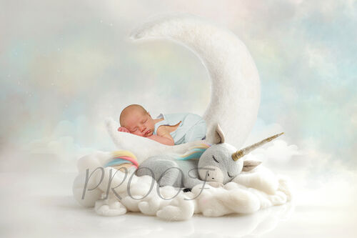 MOON AND UNICORN VERS2 COMP