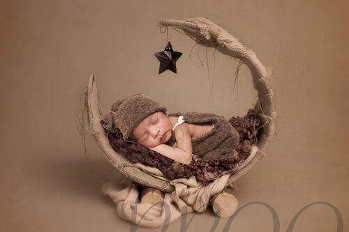MOON BROWN RUSTICBVERS2