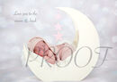 MOON COMP WORDS