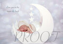 MOON CREAM COMP
