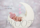 MOON PINK COMP