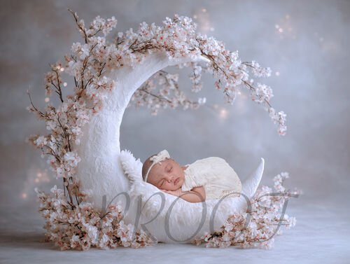 MOON SPRING BLOSSOM COMPVERS2