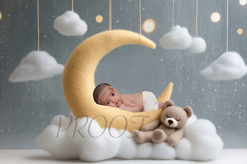 MOON & TED COMP