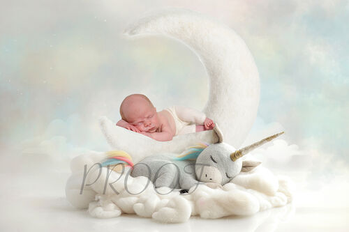 MOON & UNICORN COMP