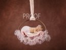 PINK BROWN SWING COMP