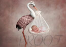 PINK STORK