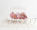 PINK TED CHAIR COMP