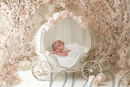 PRINCESS CARRIAGE COMPVERSION TWO