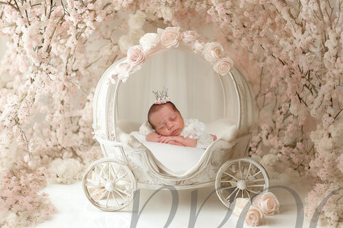 PRINCESS CARRIAGE VERSION ONE