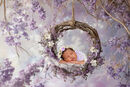 PURPLE FLOWER HOOP COMP
