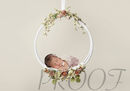 ROSES HOOP VERSION ONE