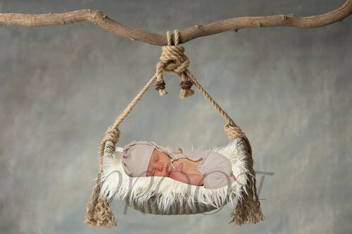 RUSTIC BRANCH SWING COMP