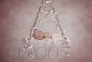 SIENNA PINK SWING
