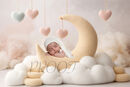 SPRING MOON COMP