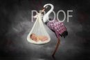 STORK COMPBWCOL