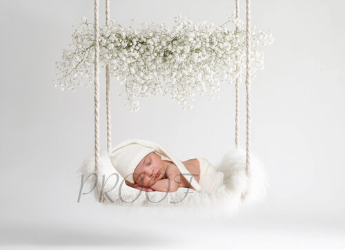 SWING BABYBREATH COMP