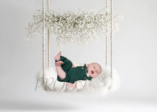 SWING BABYBREATH COMP