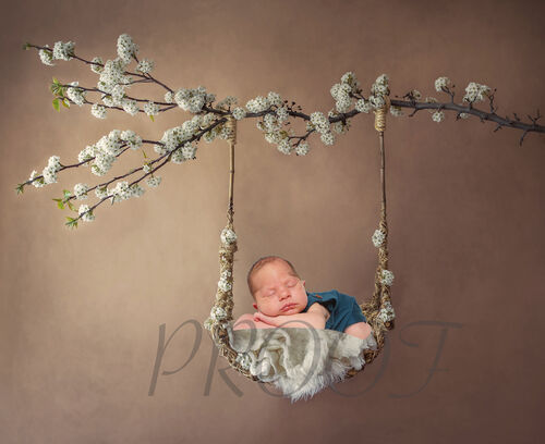 SWING BLOSSOM BRANCH