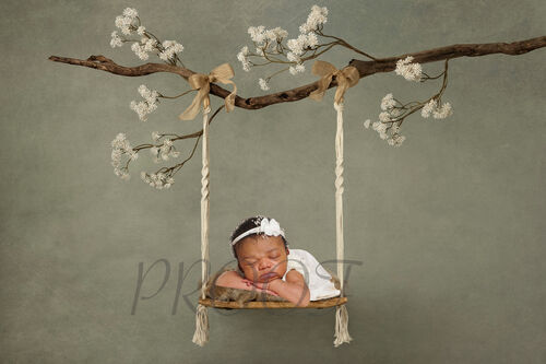 SWING BRANCH BOWS COMP