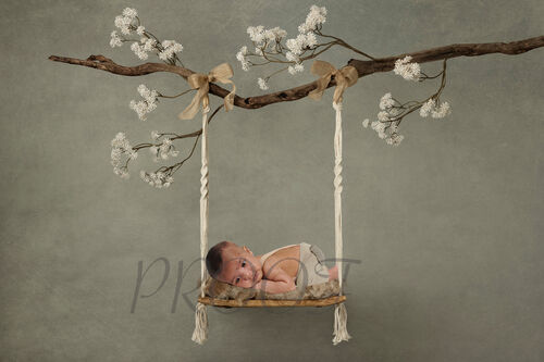 SWING BRANCH COMPGREEN