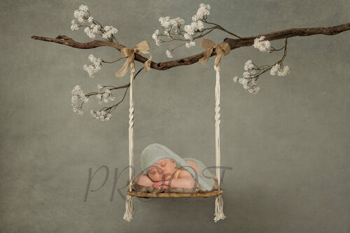 SWING BRANCH COMPGREEN
