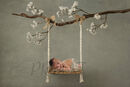 SWING BRANCH COMPGREEN