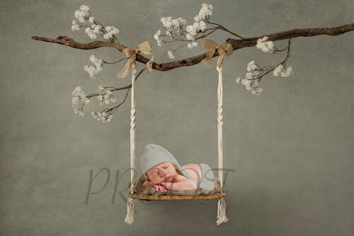 SWING BRANCH COMPVERS 2