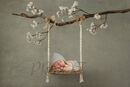 SWING BRANCH COMPVERS 2