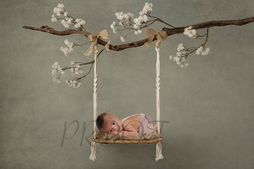 SWING BRANCH COMP