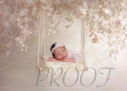 SWING CREAM LACE COMP