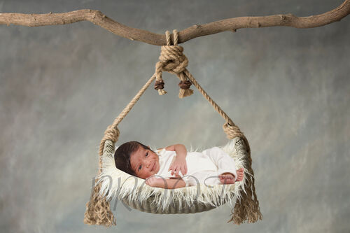 SWING ON BRANCHVERS2