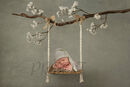 SWING ON BRANCH COMPVERS2