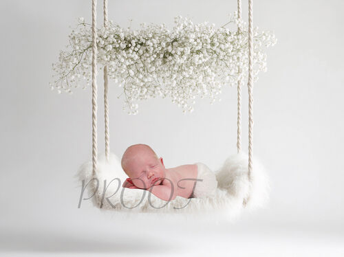 SWING WITH BABYBREATH COMP