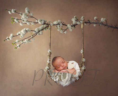SWING WITH BLOSSOM COMP
